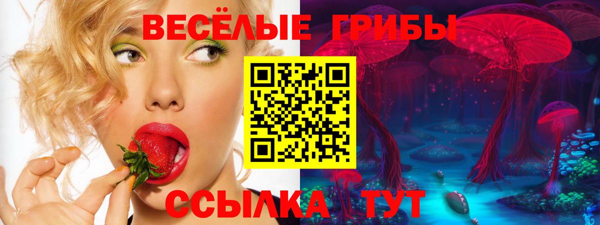Галлюциногенные грибы ЛСД  сколько стоит  Новокубанск  Вход с VPN 
