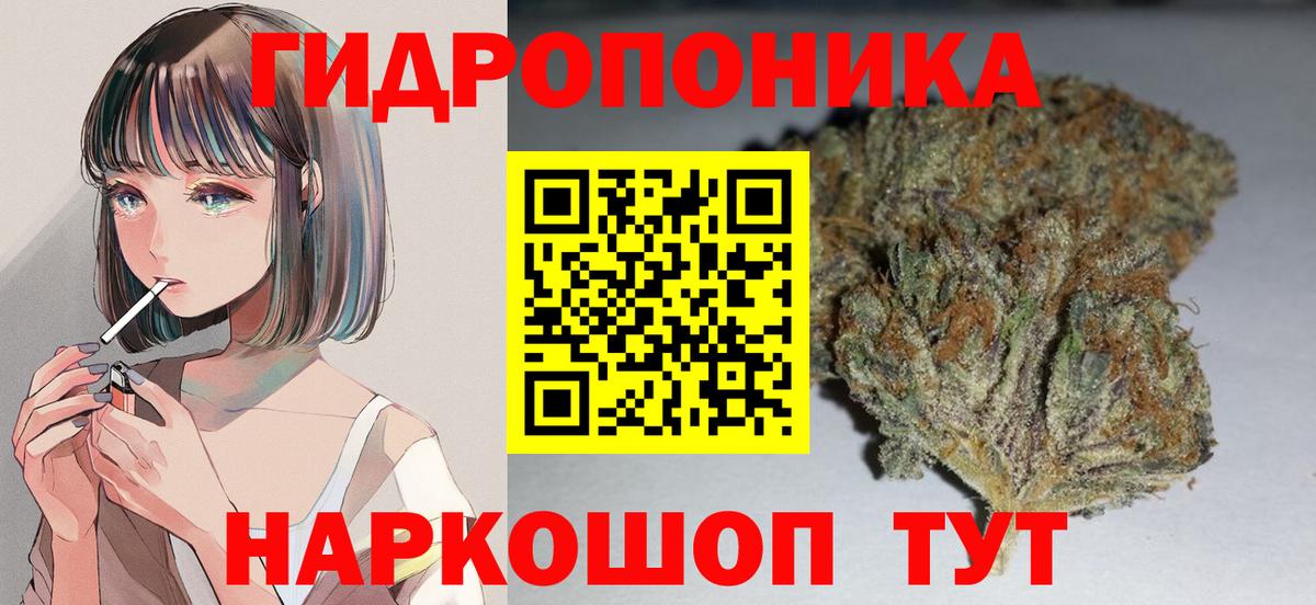 Конопля планчик  Бошки марихуана индика  Вход с VPN  Новокубанск  Бошки Шишки SATIVA & INDICA 